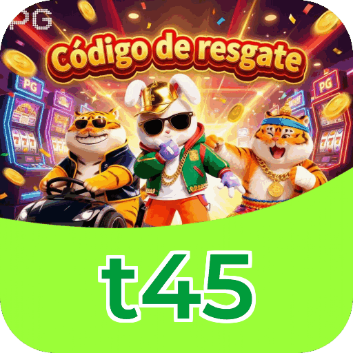 Interface t45